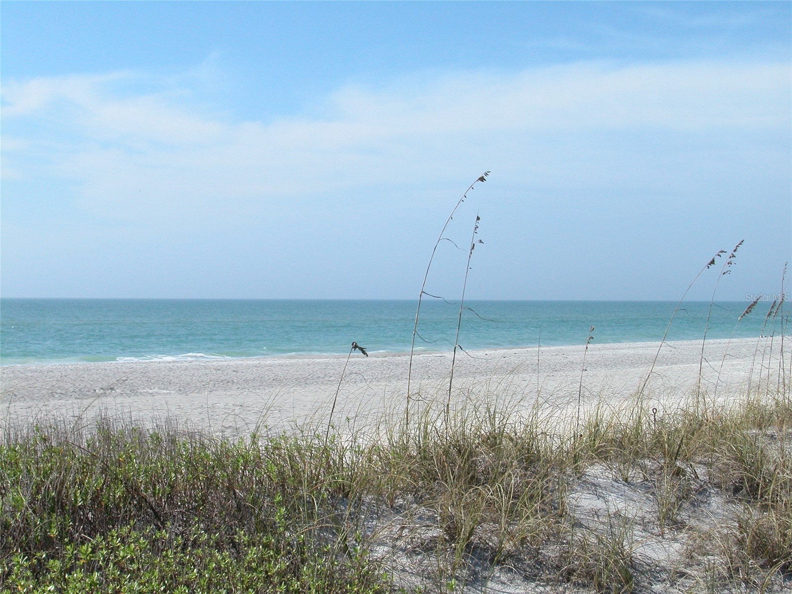 2020 Harbourside Drive #446 Longboat Key FL 34228 A4695127 image38