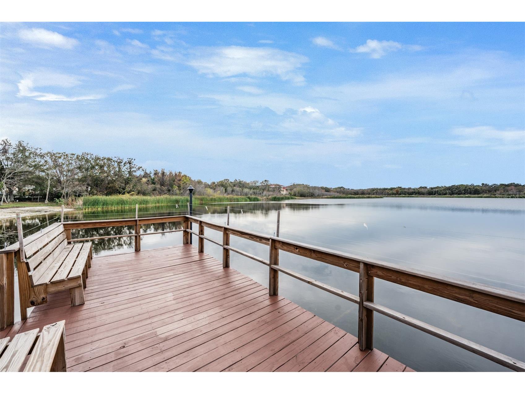 2020 Lakeview Drive #105 Clearwater FL 33763 TB8467037 image33