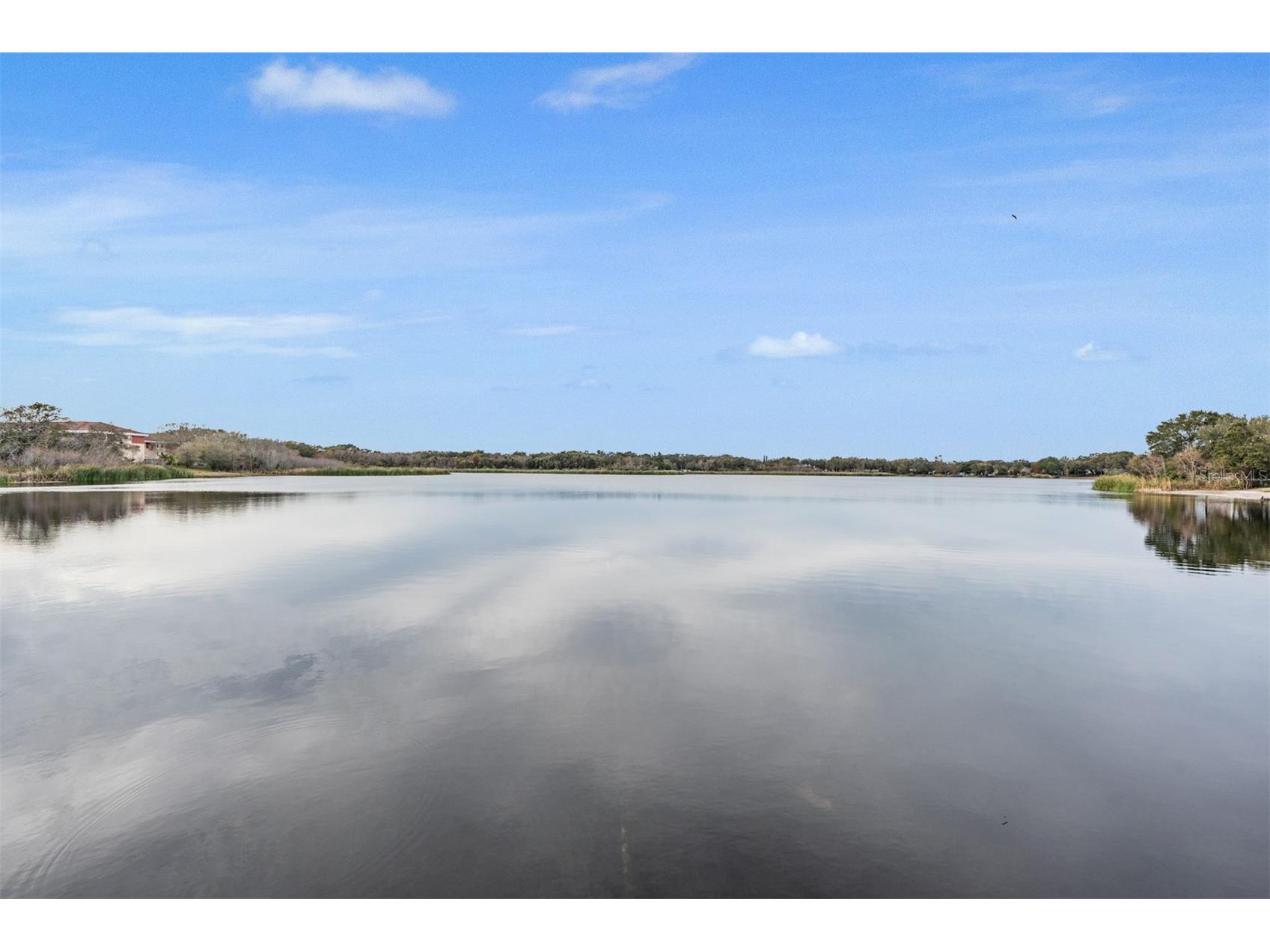 2020 Lakeview Drive #105 Clearwater FL 33763 TB8467037 image34