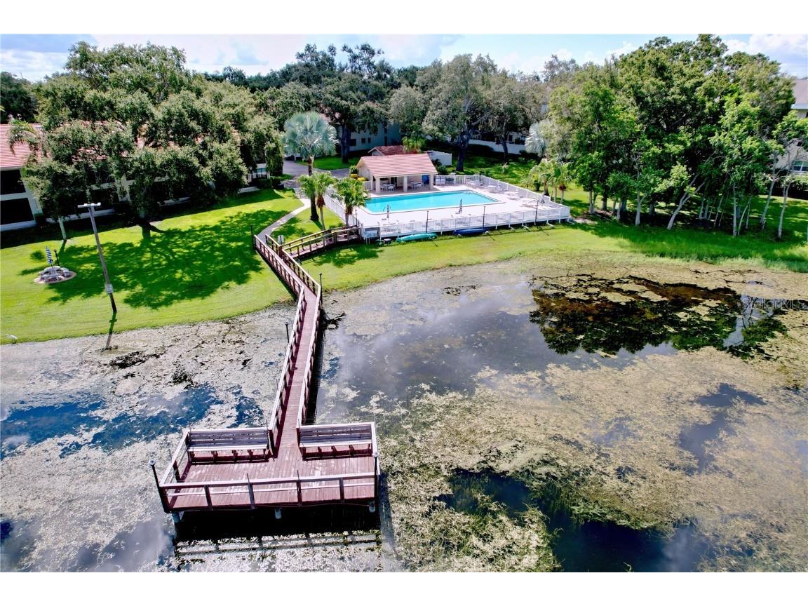 2020 Lakeview Drive #203 Clearwater FL 33763 TB8417294 image59