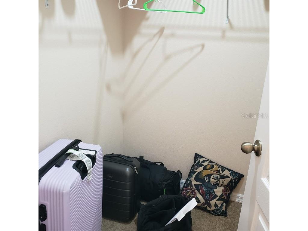 2020 Leather Fern Drive Ocoee FL 34761 O6339160 image29