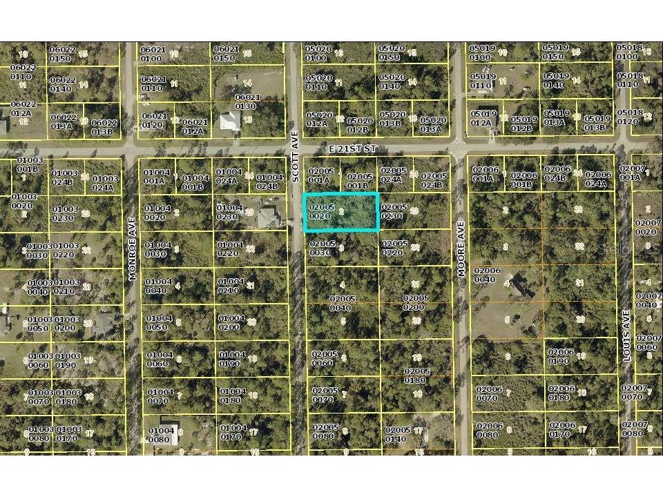 2020 Scott Avenue Alva FL 33920 C7520846 image2