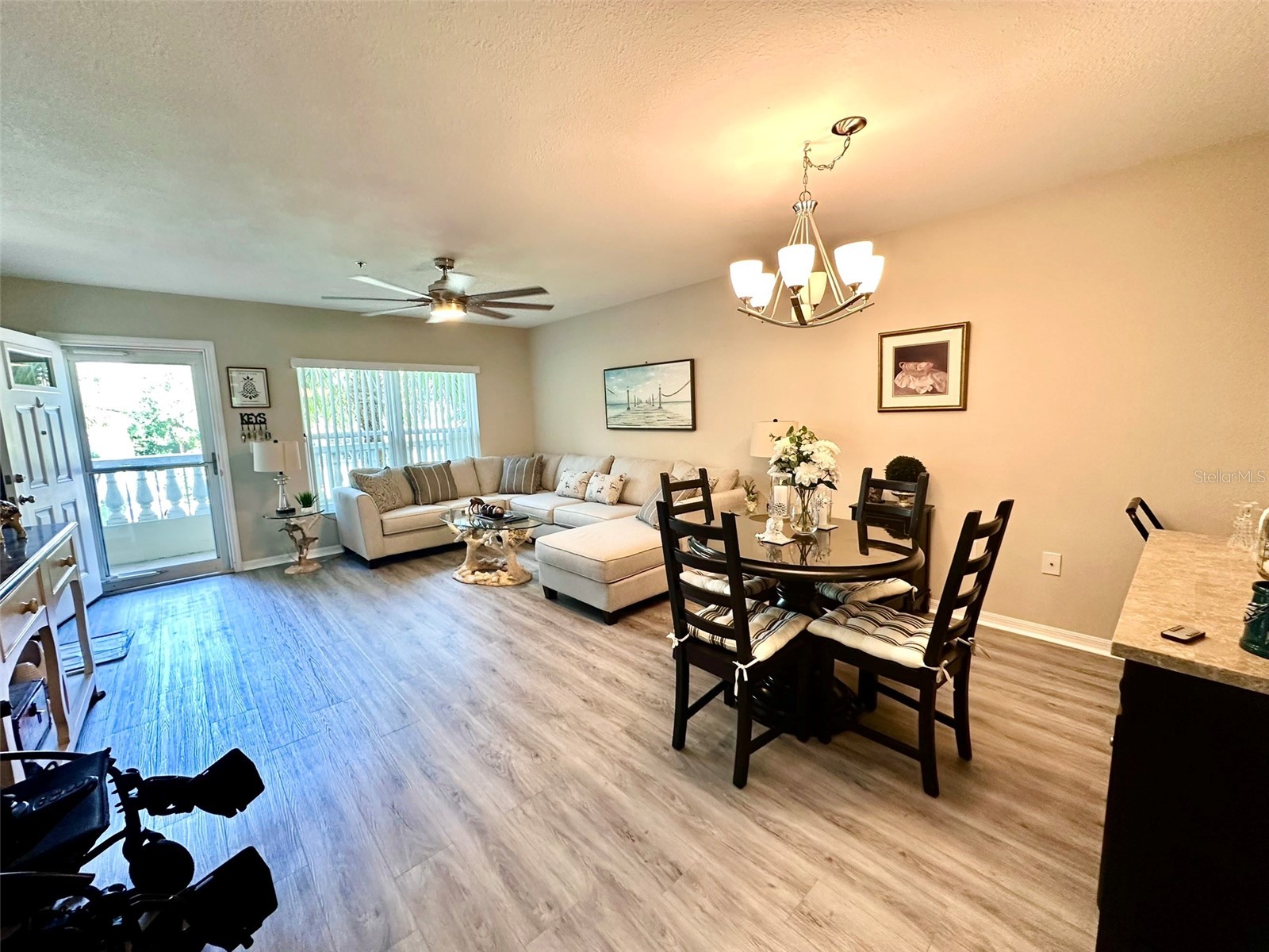 2020 Shangrila Drive #219 Clearwater FL 33763 TB8508317 image6