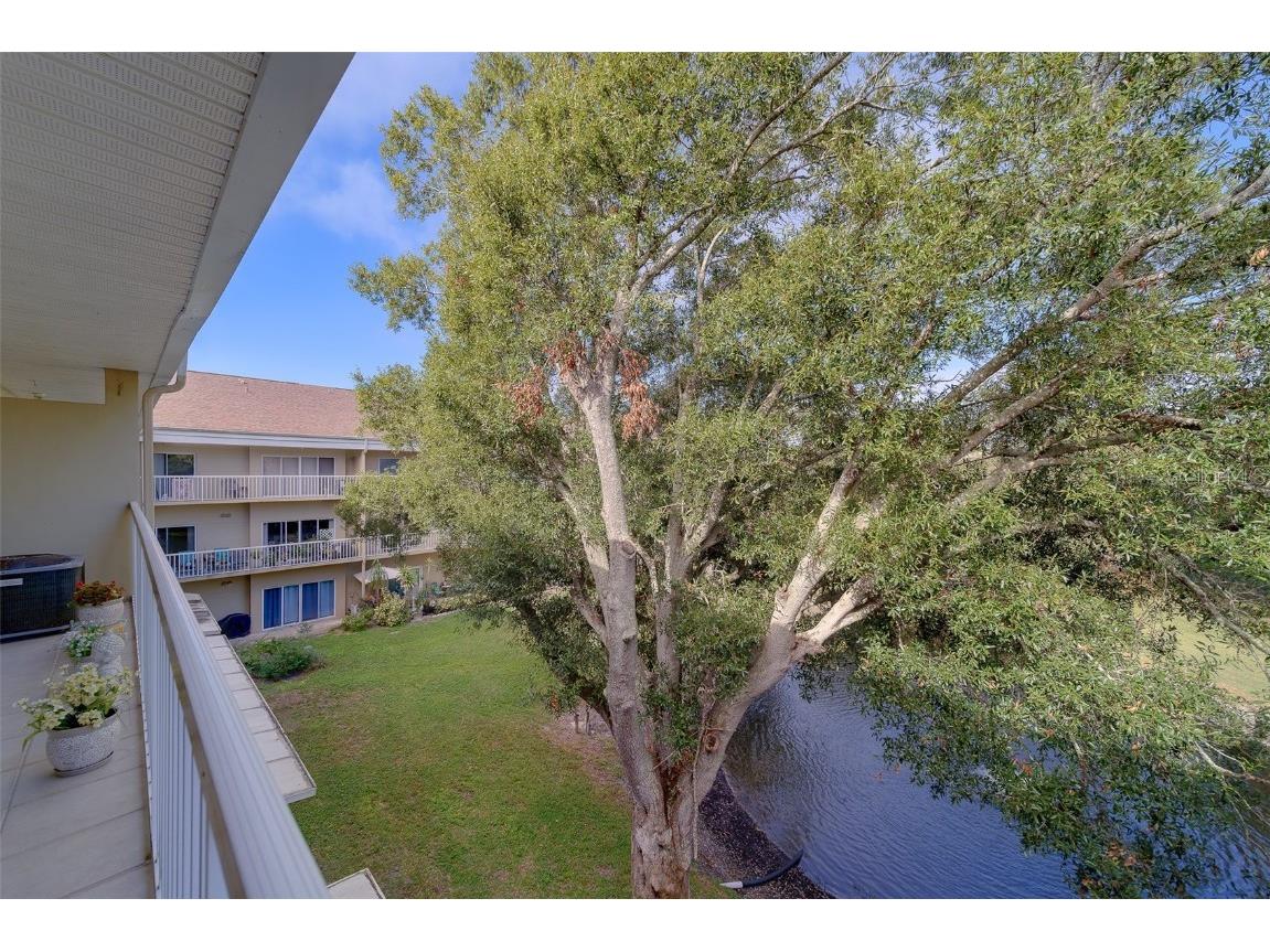 2020 Shangrila Drive #305 Clearwater FL 33763 TB8443516 image29
