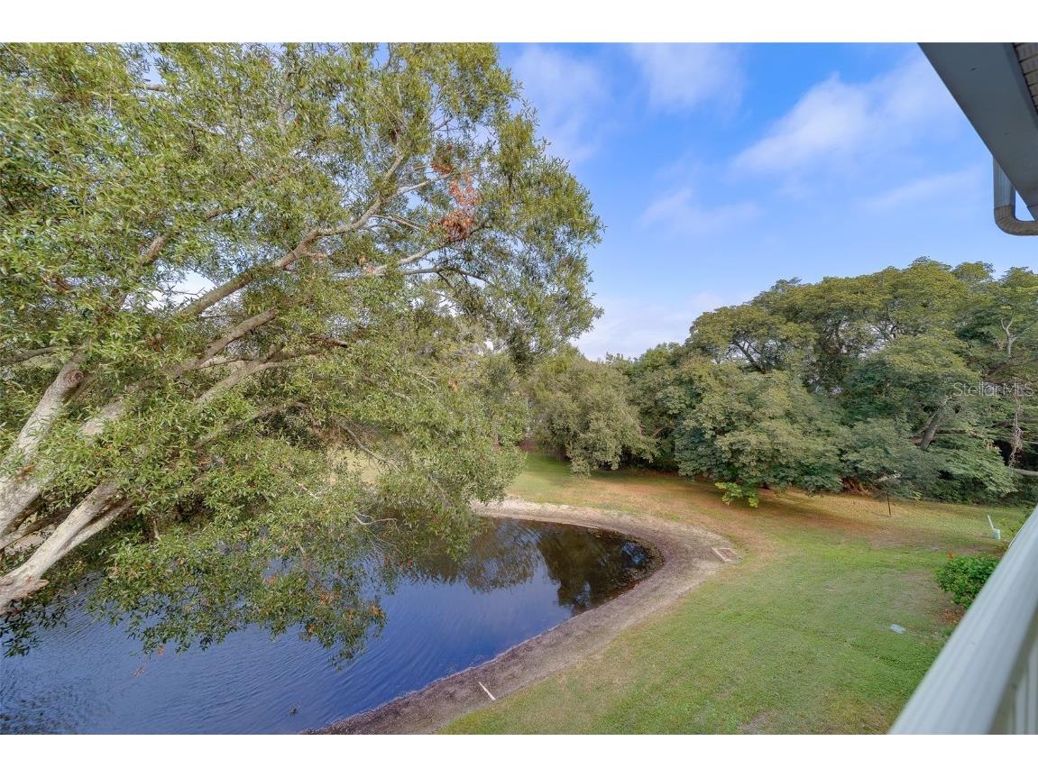 2020 Shangrila Drive #305 Clearwater FL 33763 TB8443516 image30