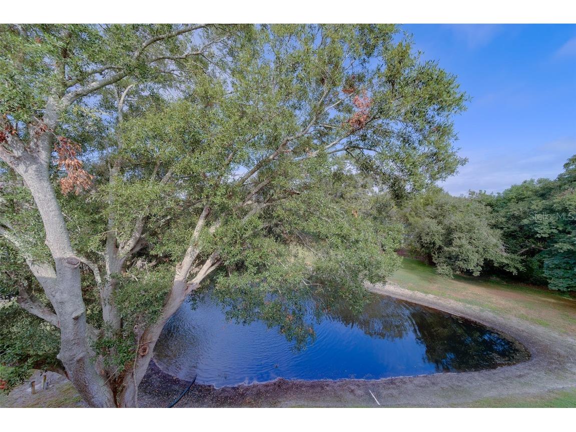 2020 Shangrila Drive #305 Clearwater FL 33763 TB8443516 image31