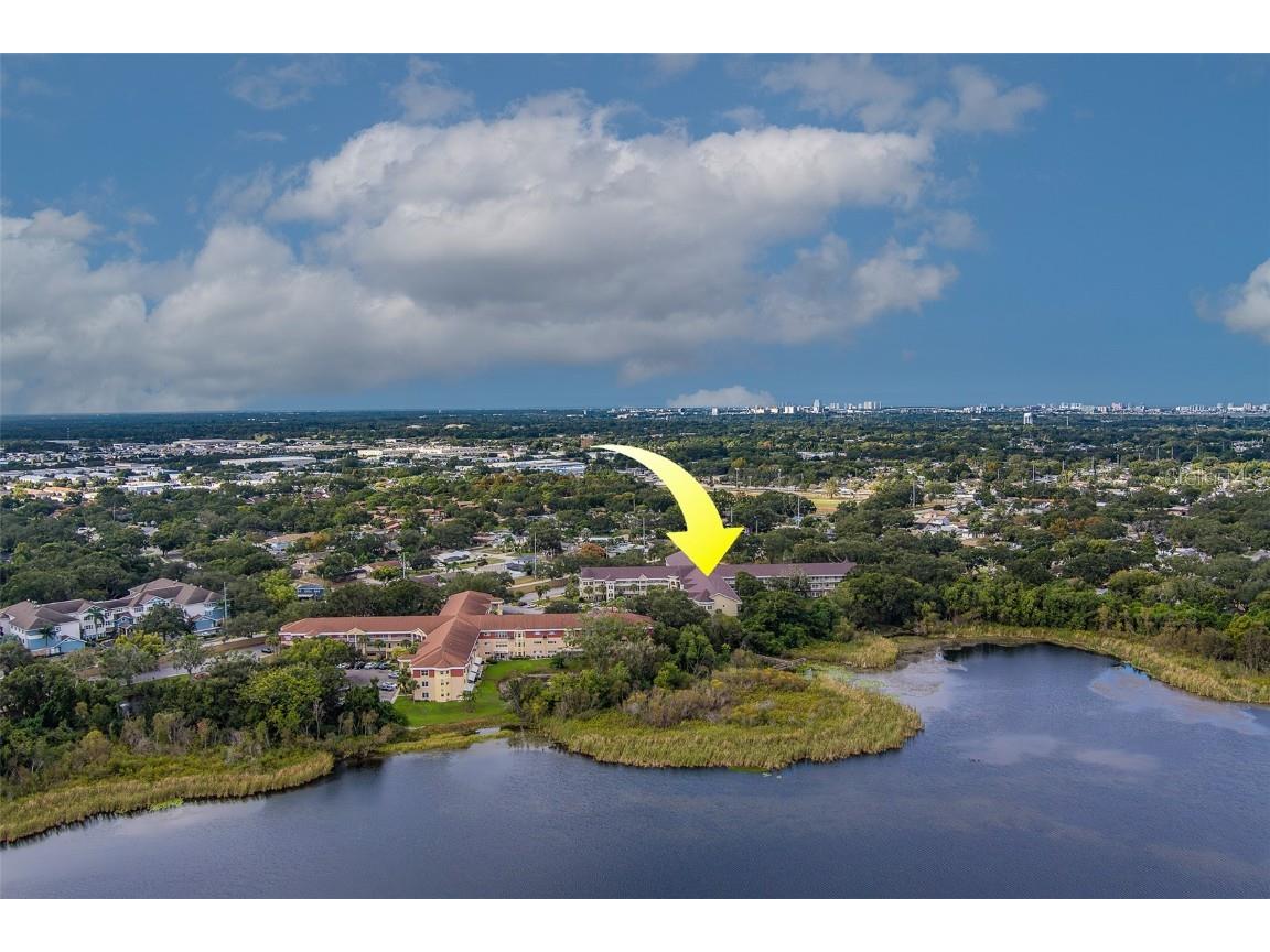 2020 Shangrila Drive #305 Clearwater FL 33763 TB8443516 image48