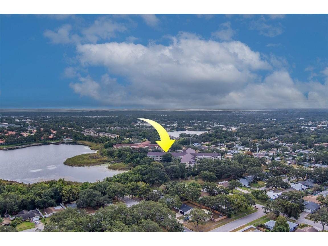 2020 Shangrila Drive #305 Clearwater FL 33763 TB8443516 image50