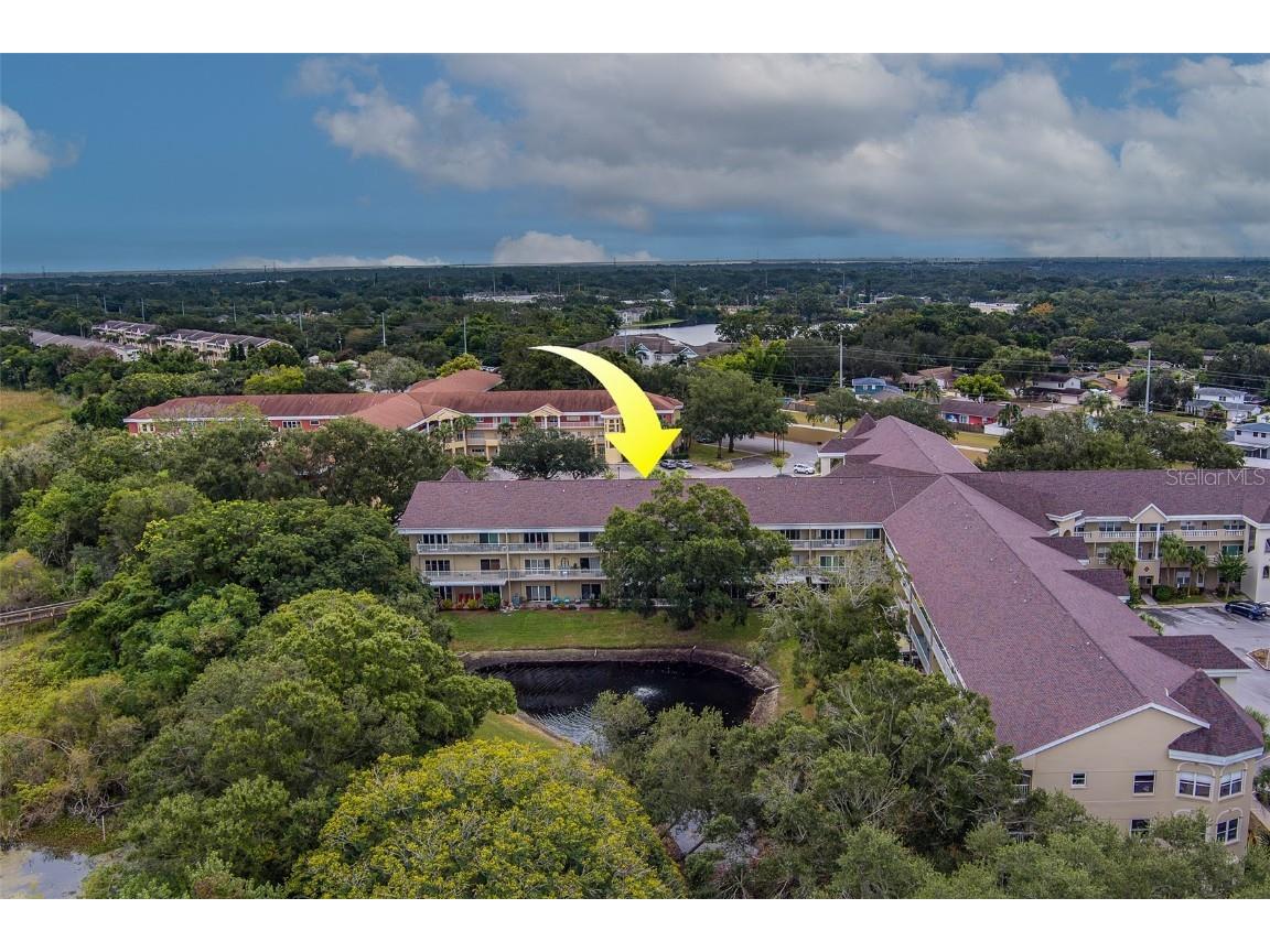 2020 Shangrila Drive #305 Clearwater FL 33763 TB8443516 image56