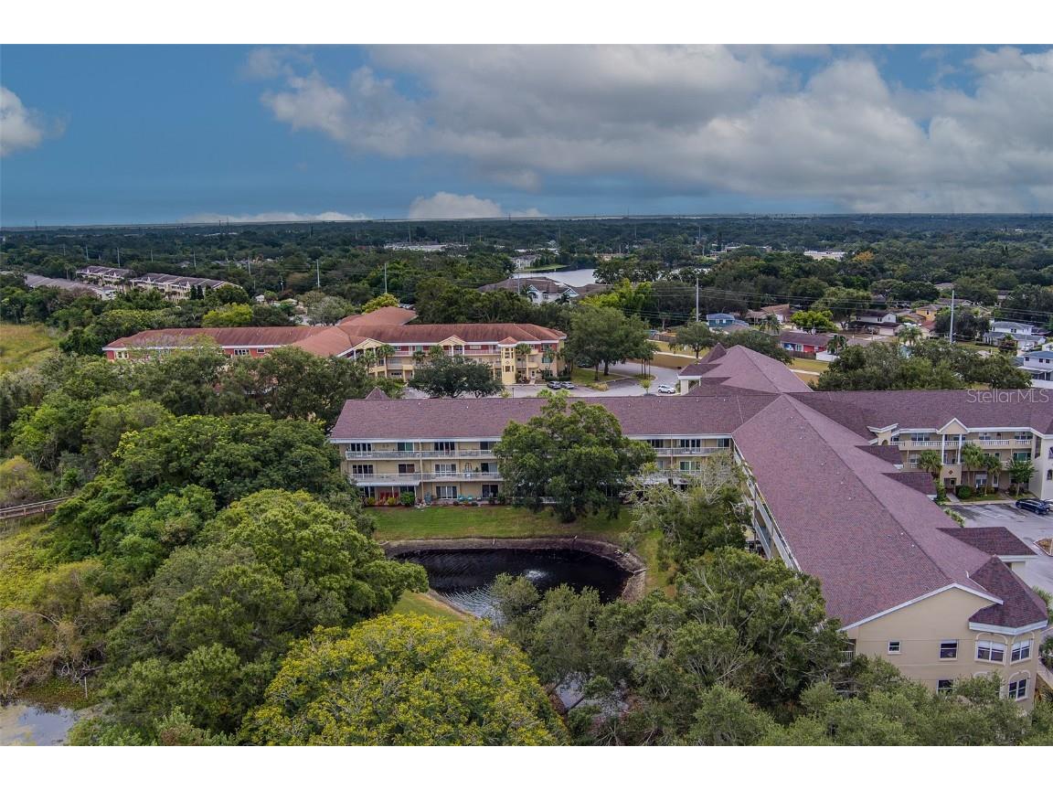 2020 Shangrila Drive #305 Clearwater FL 33763 TB8443516 image57