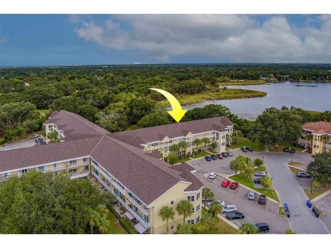 2020 Shangrila Drive #305 Clearwater FL 33763 TB8443516 image62