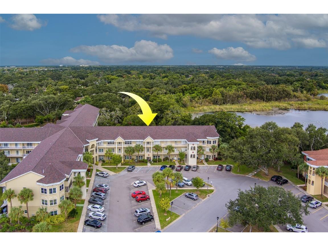 2020 Shangrila Drive #305 Clearwater FL 33763 TB8443516 image64