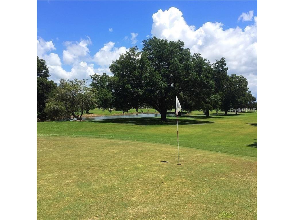 2020 World Parkway Boulevard #54 Clearwater FL 33763 TB8515308 image20