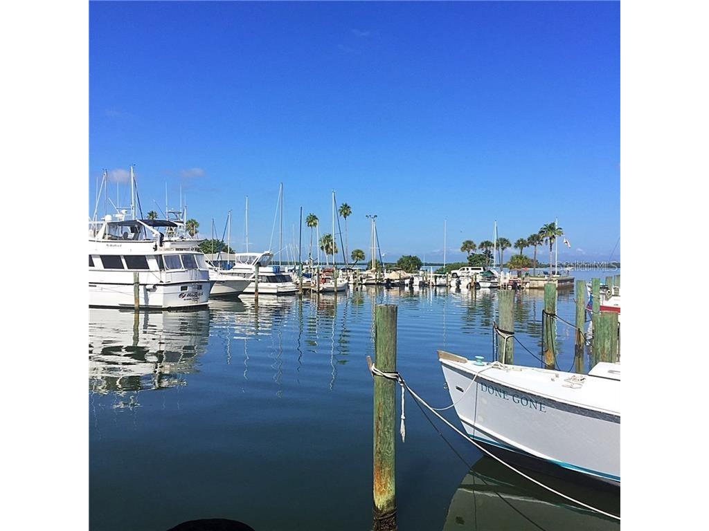 2020 World Parkway Boulevard #54 Clearwater FL 33763 TB8515308 image29