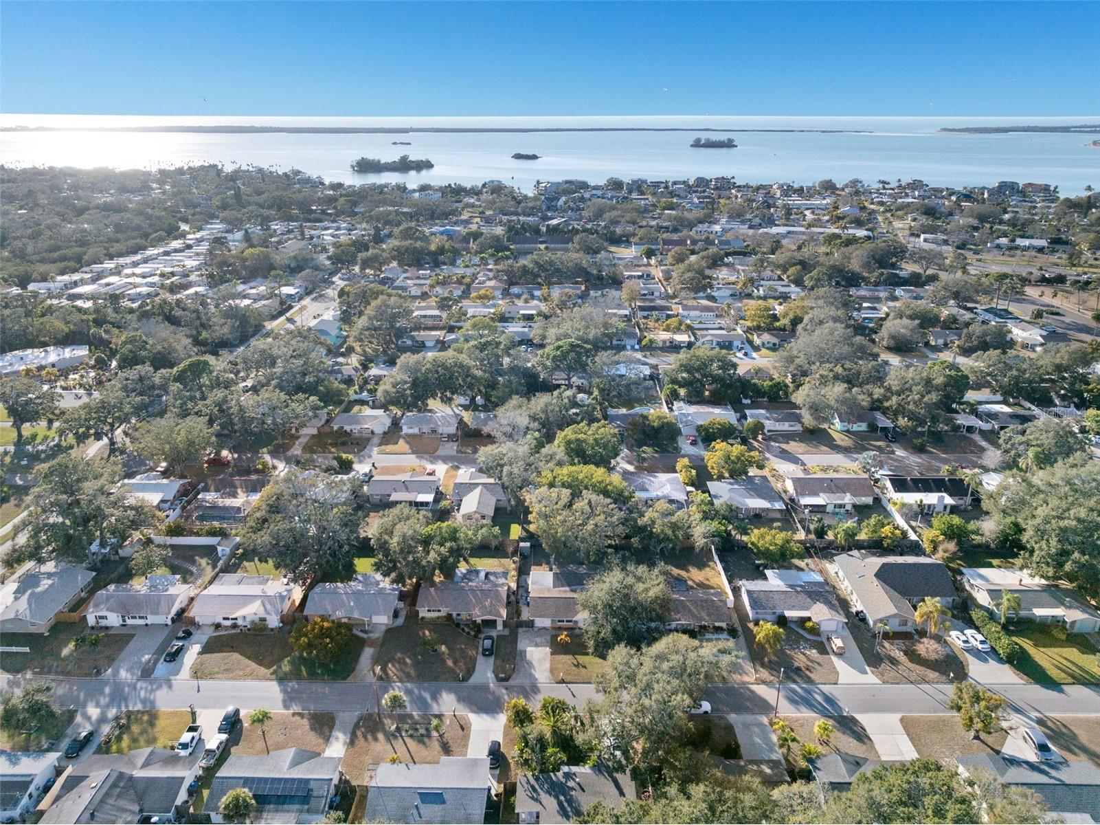 2020 Yale Avenue Dunedin FL 34698 TB8475376 image48