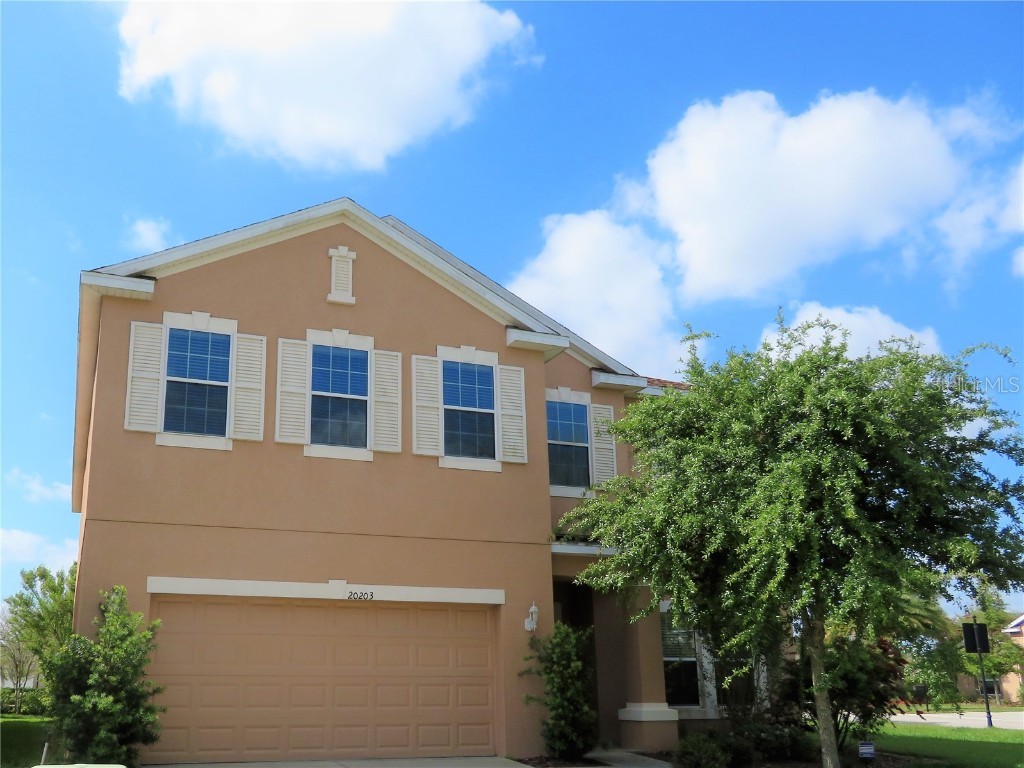 20203 Autumn Fern Avenue Tampa FL 33647 T3427395 image1