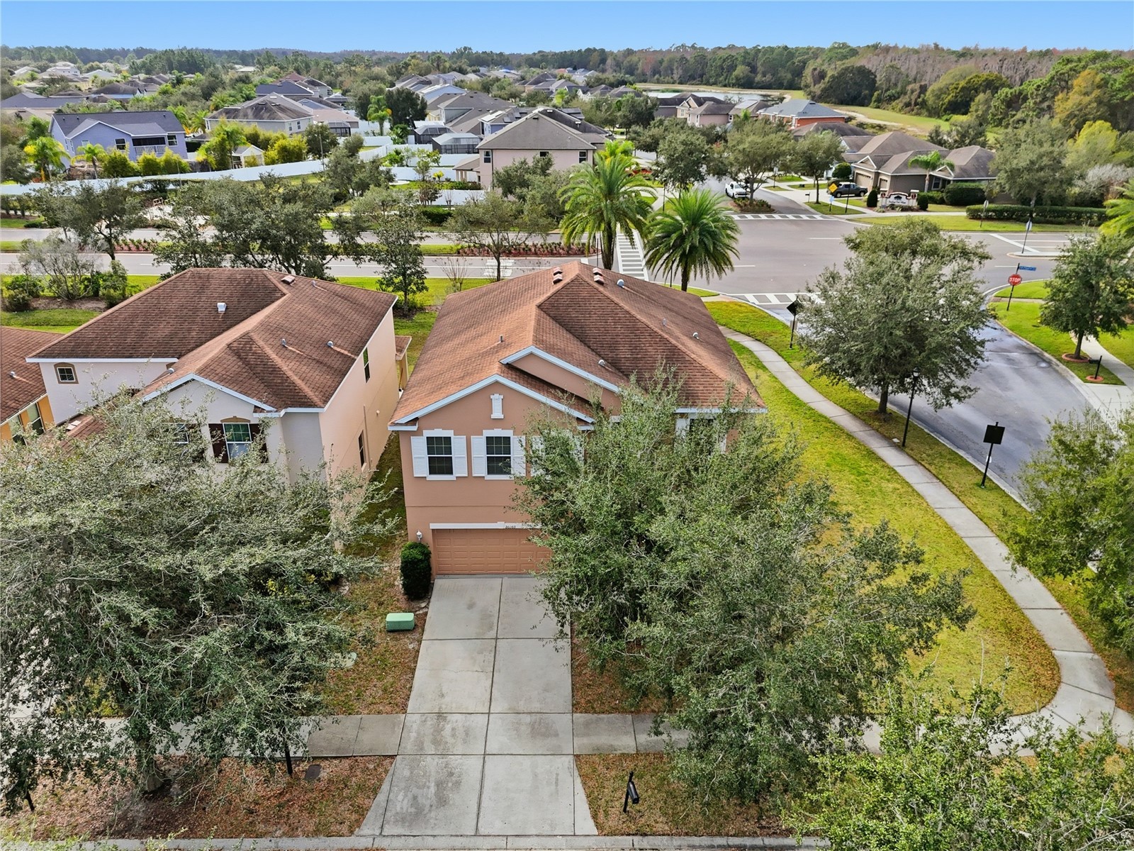 20203 Autumn Fern Avenue Tampa FL 33647 TB8463940 image2