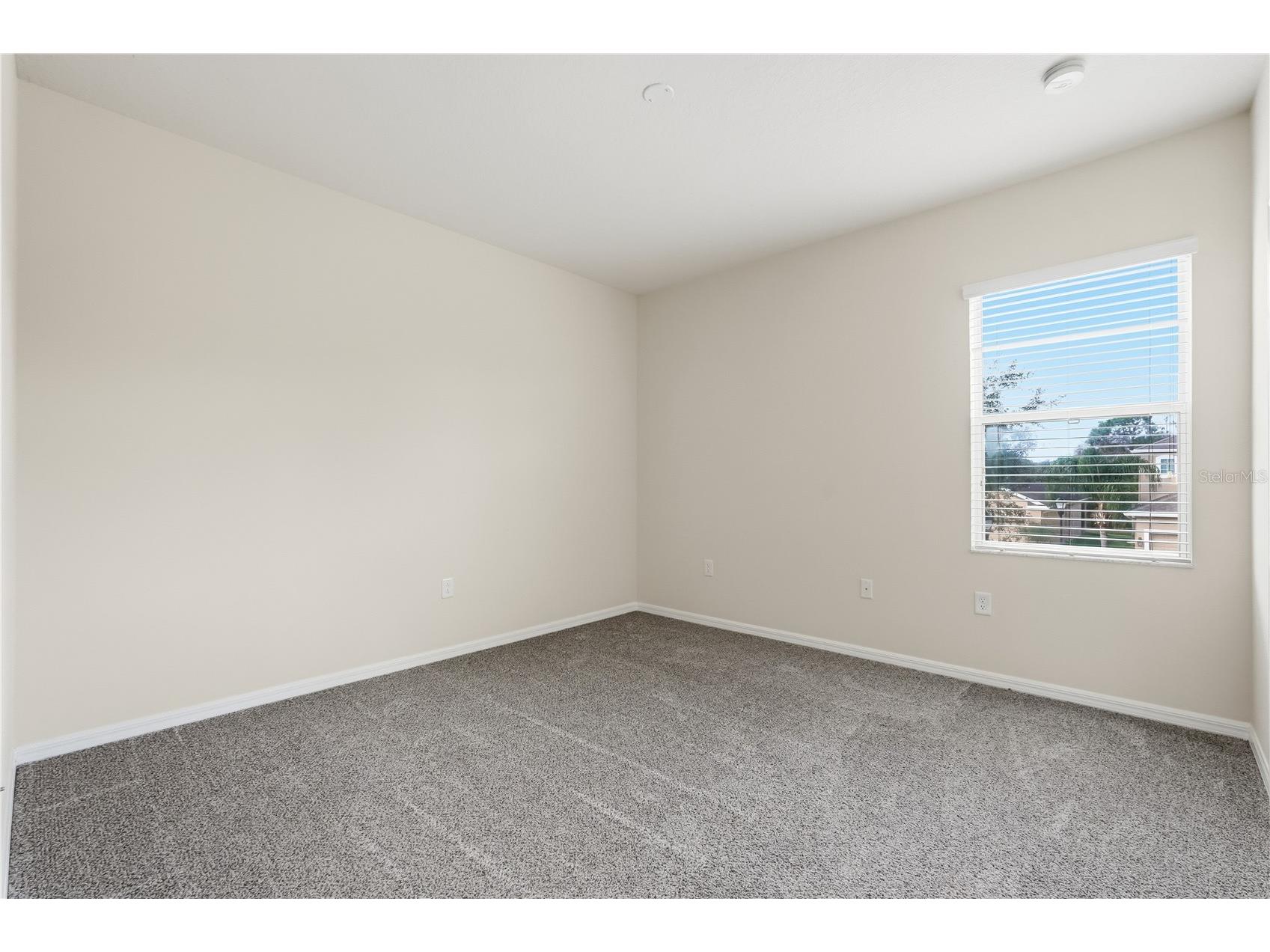 20203 Autumn Fern Avenue Tampa FL 33647 TB8463940 image27
