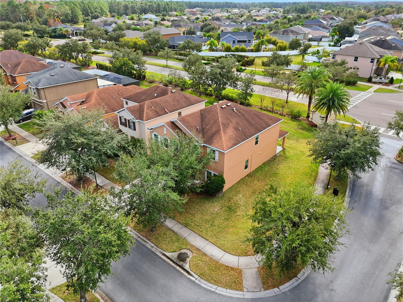 20203 Autumn Fern Avenue Tampa FL 33647 TB8463940 image39