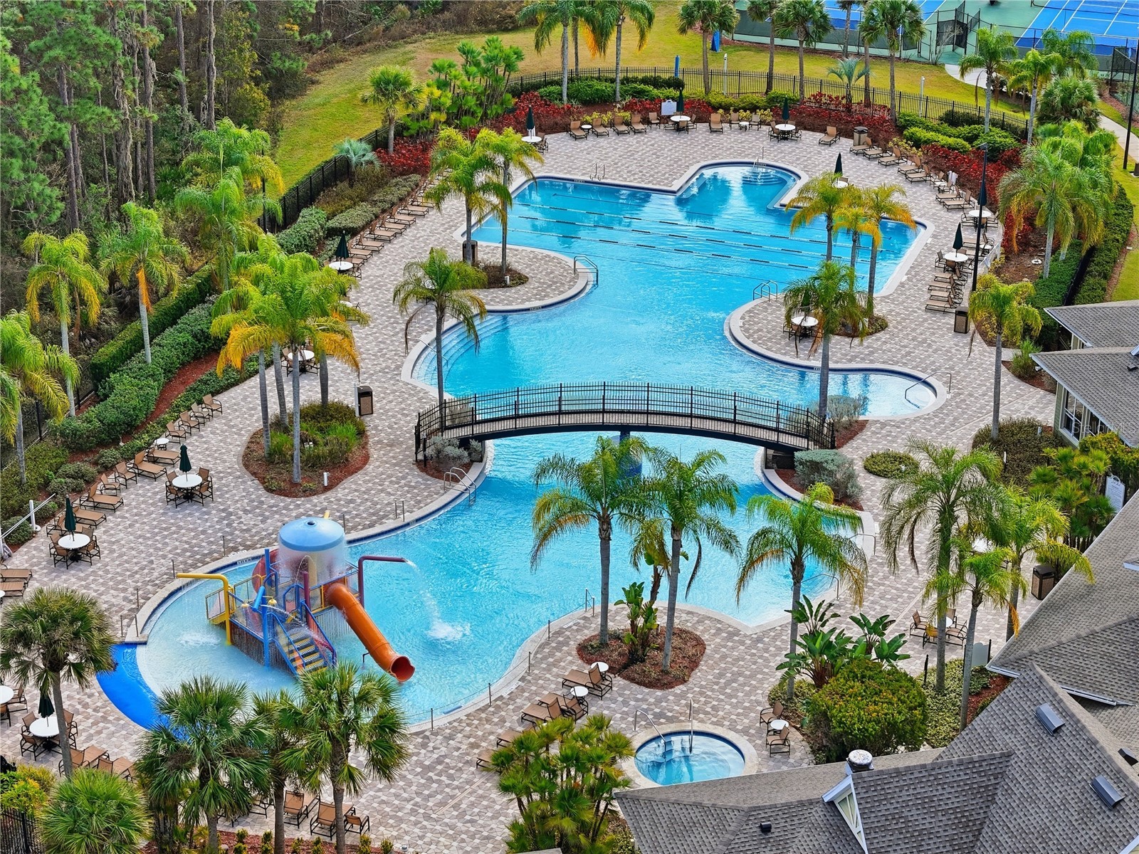 20203 Autumn Fern Avenue Tampa FL 33647 TB8463940 image41