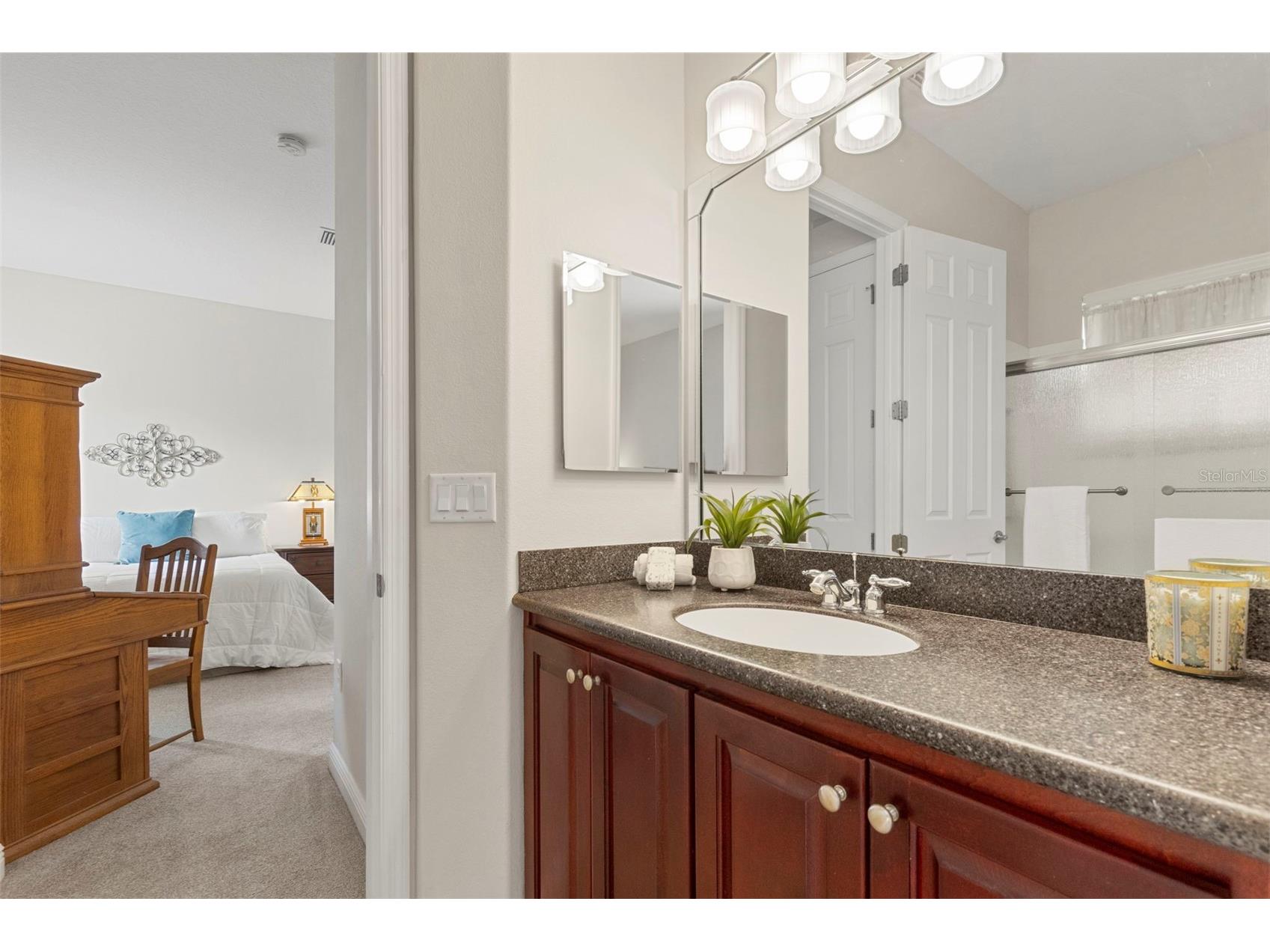 20203 Cane River Way Tampa FL 33647 TB8513012 image48