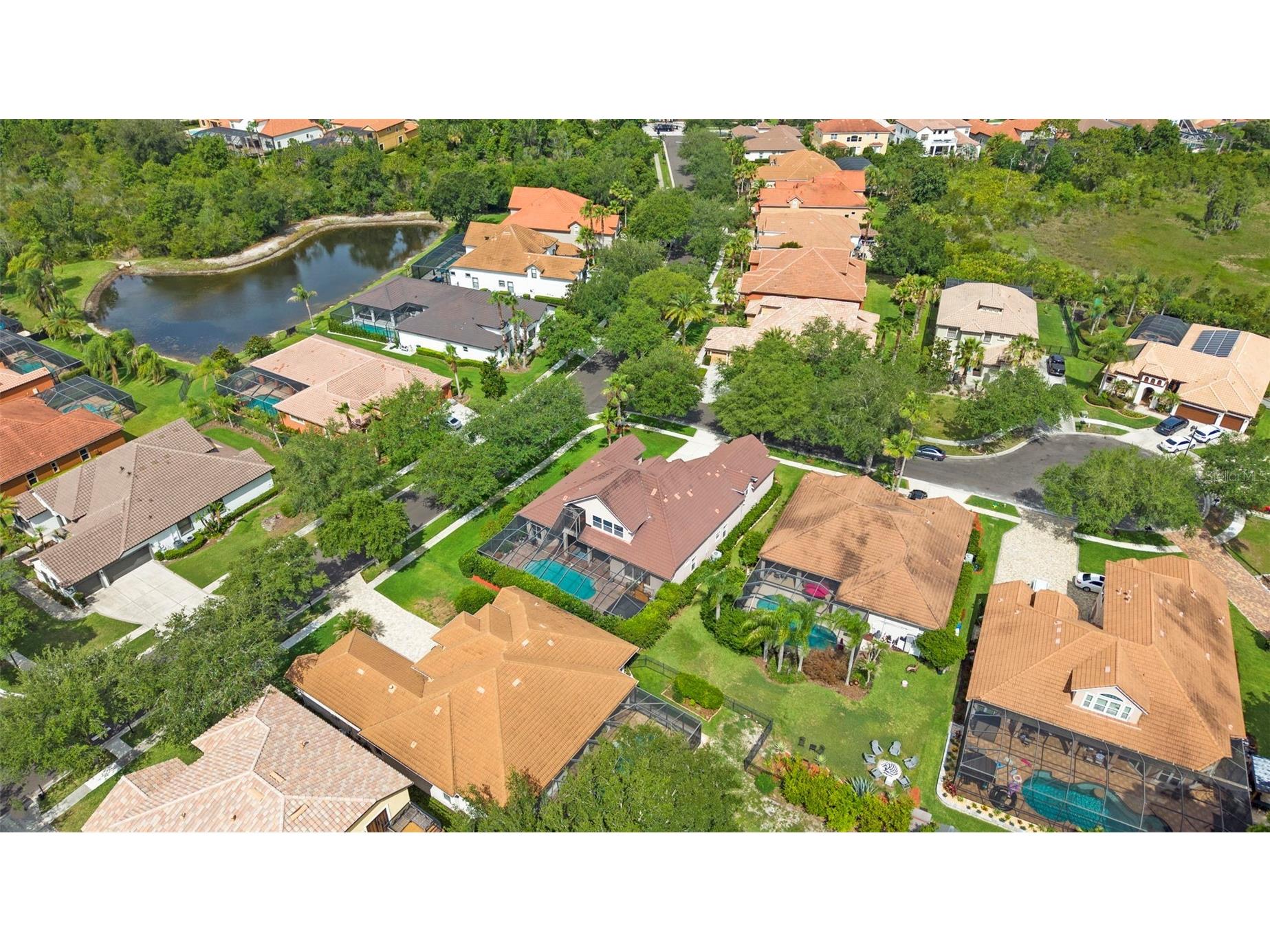 20203 Cane River Way Tampa FL 33647 TB8513012 image89