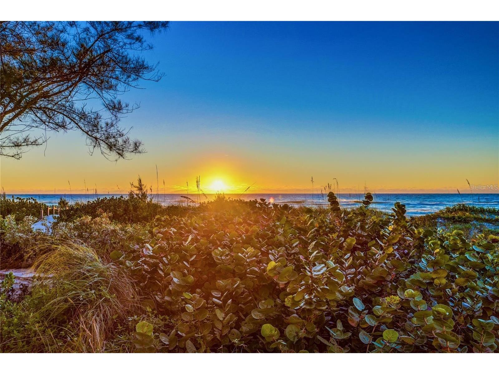 20204 Gulf Boulevard #4 Indian Shores FL 33785 TB8497493 image18