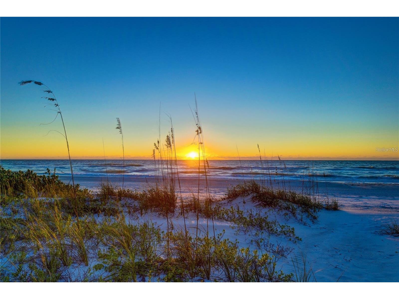 20204 Gulf Boulevard #4 Indian Shores FL 33785 TB8497493 image20