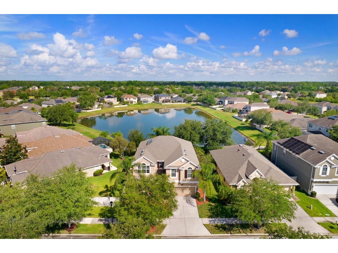 20204 Natures Spirit Drive Tampa FL 33647 T3445306 image1