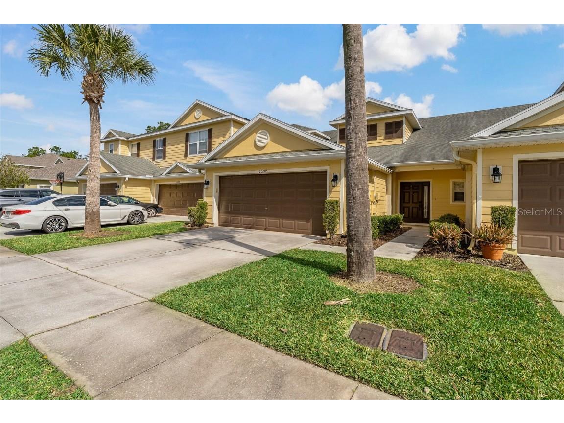 20205 Indian Rosewood Drive Tampa FL 33647 T3504440 image1