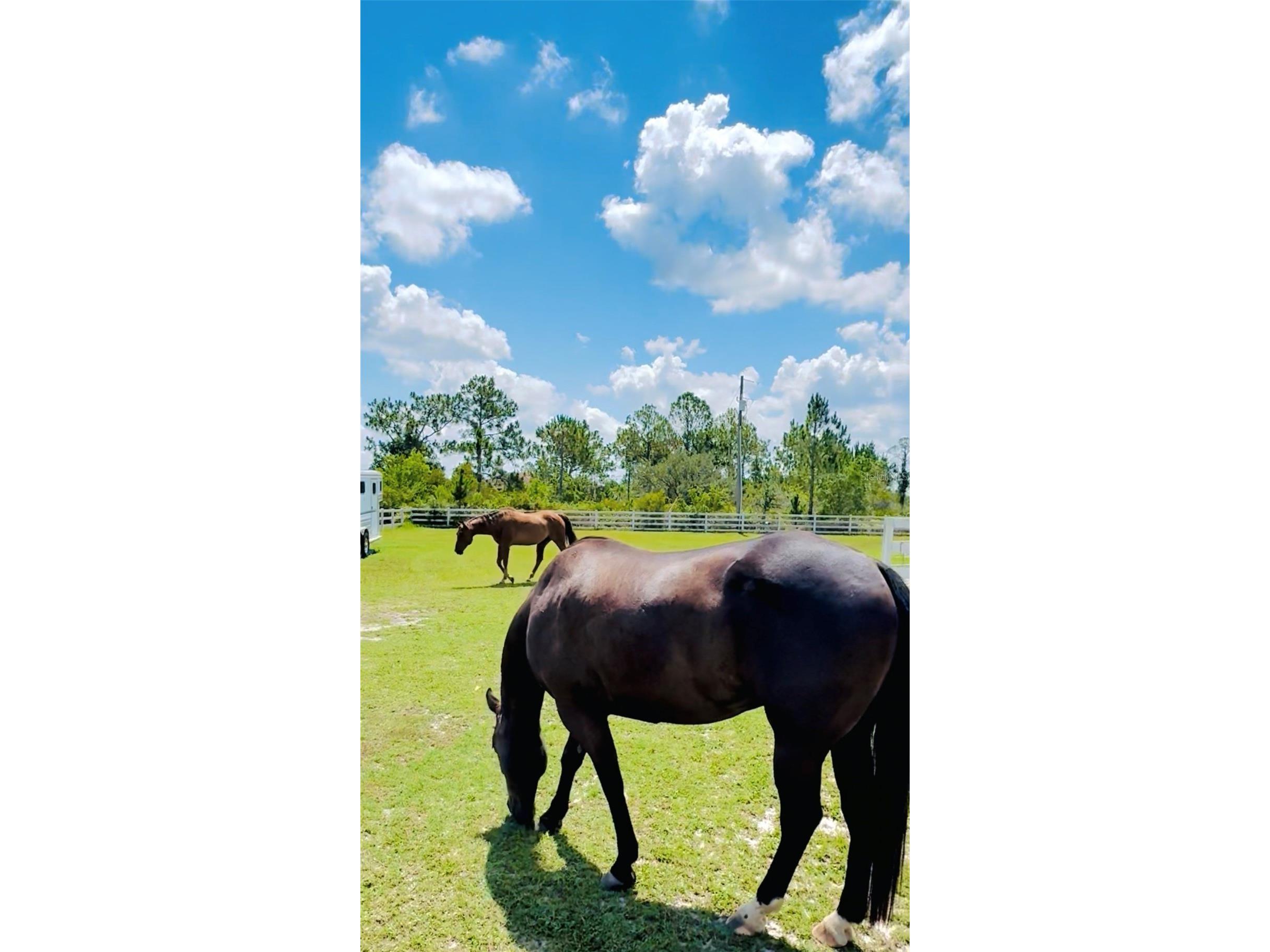 20207 77th Avenue E Bradenton FL 34202 A4698566 image71