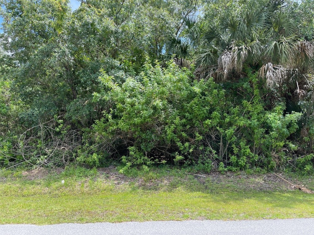 20207 Benton Avenue Port Charlotte FL 33952 C7462393 image1