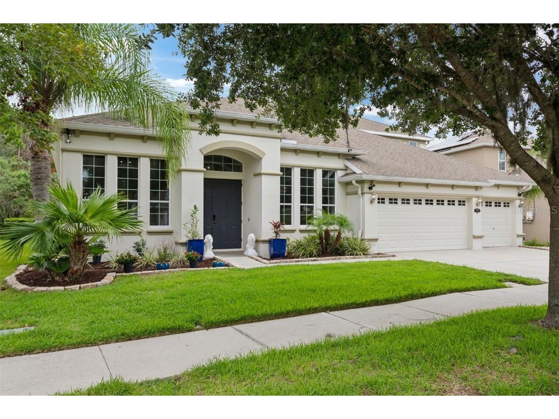 20208 Ravens End Drive Tampa FL 33647 T3538556 image1