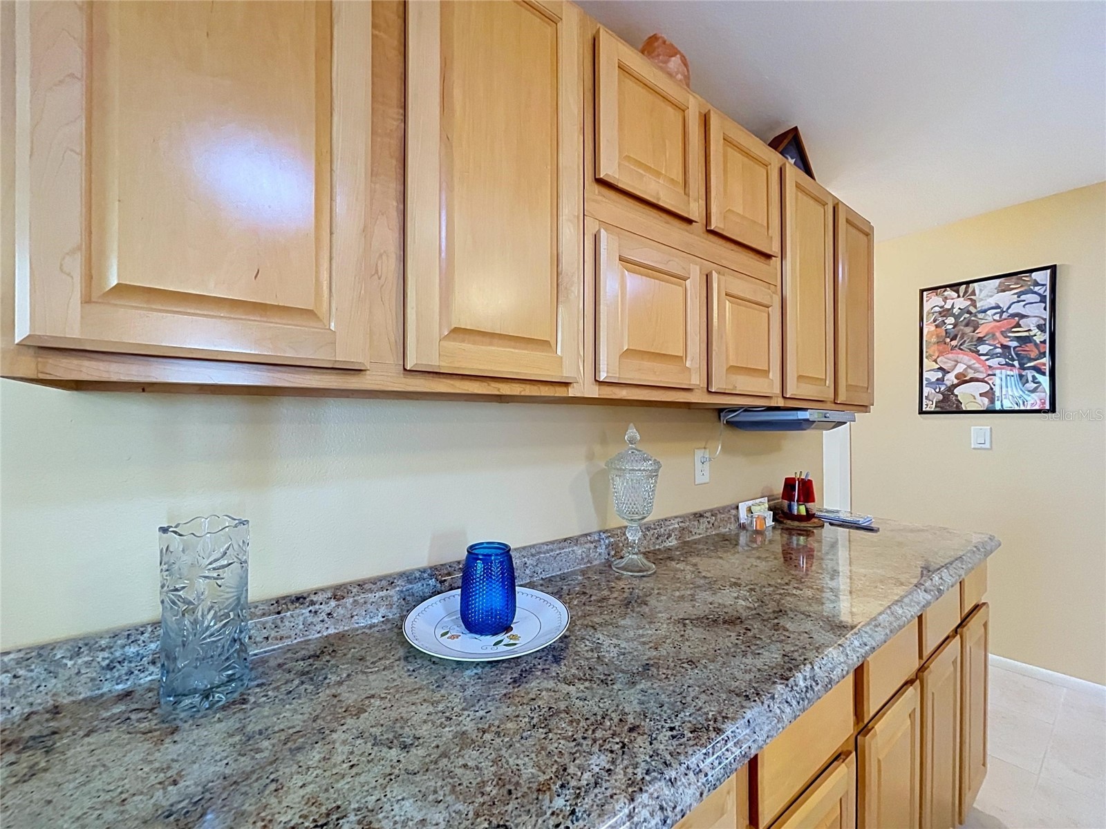 2021 58th Lane N Clearwater FL 33760 TB8527981 image19