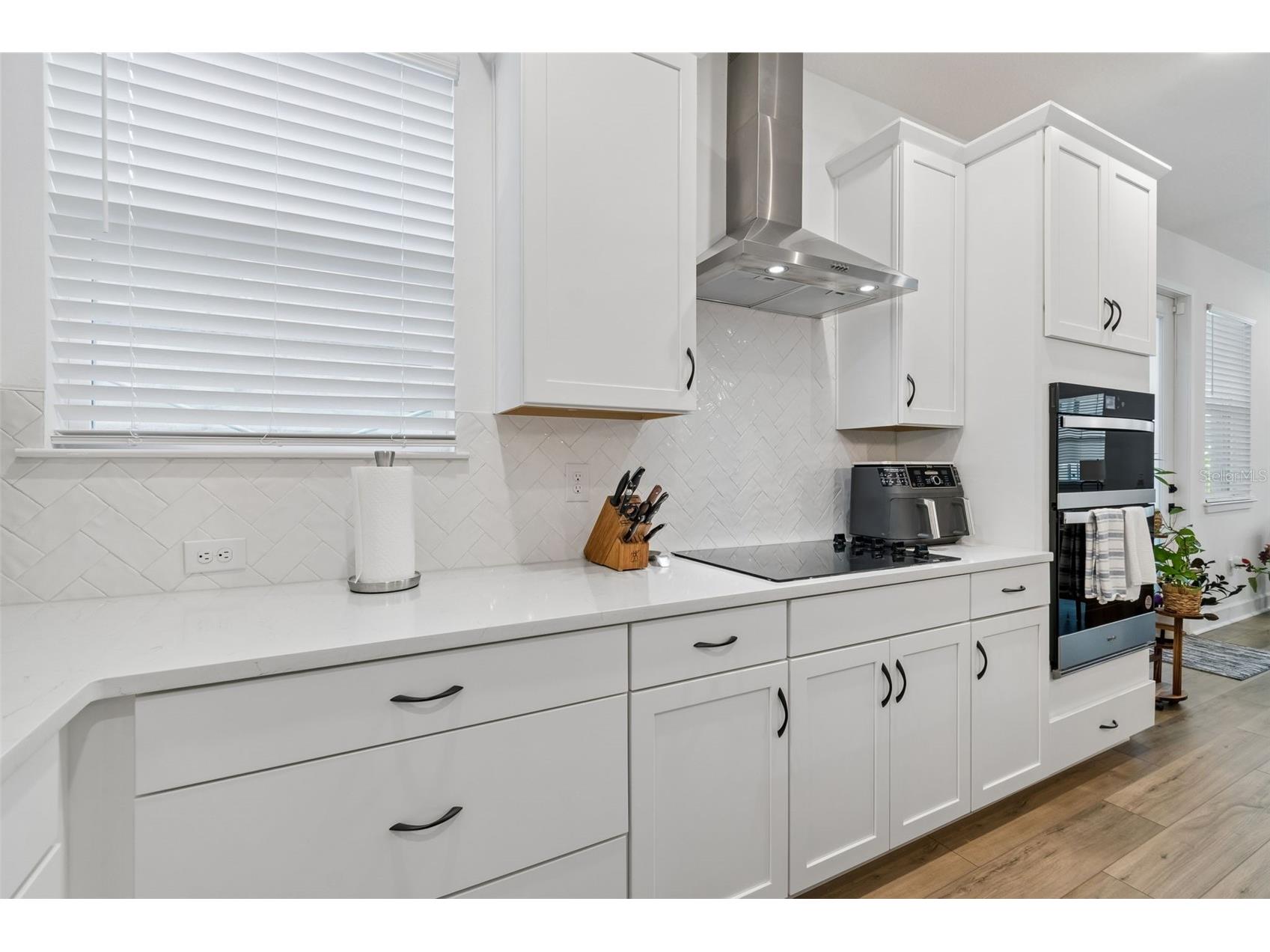 2021 Amelia Bay Place Valrico FL 33596 TB8516651 image3