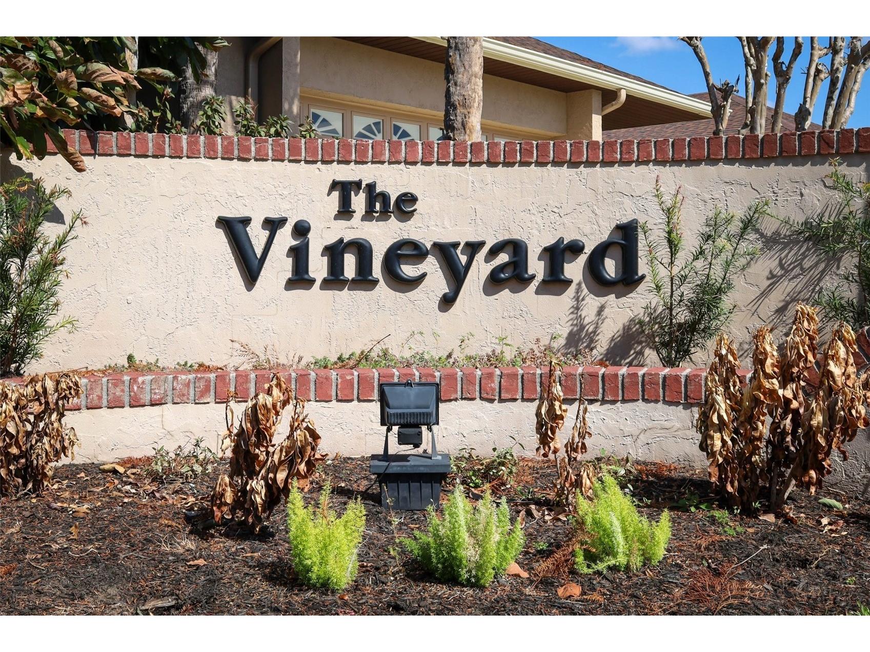 2021 Arbor Way Mount Dora FL 32757 O6383628 image41