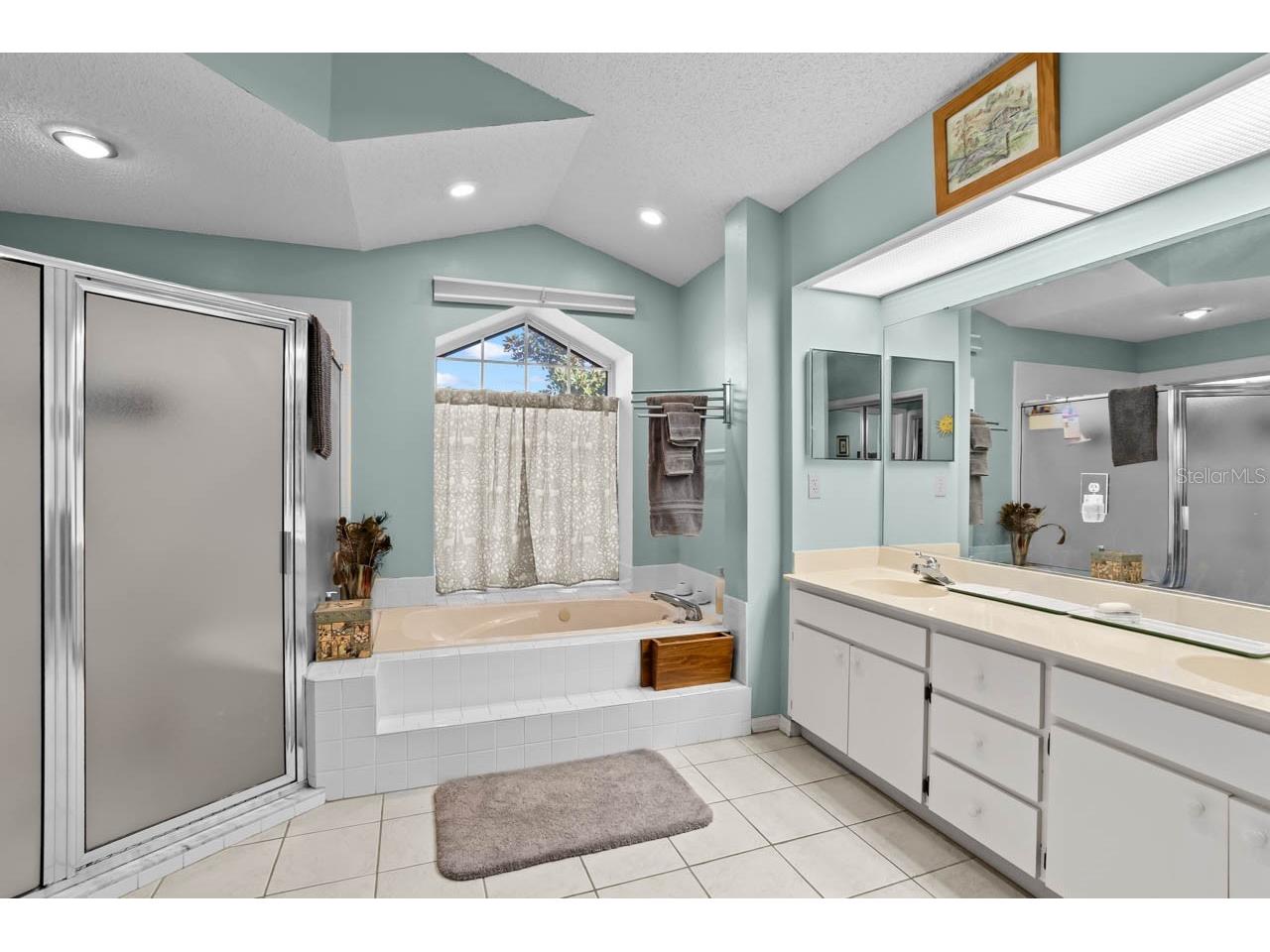 2021 Berry Roberts Drive Sun City Center FL 33573 TB8480170 image23