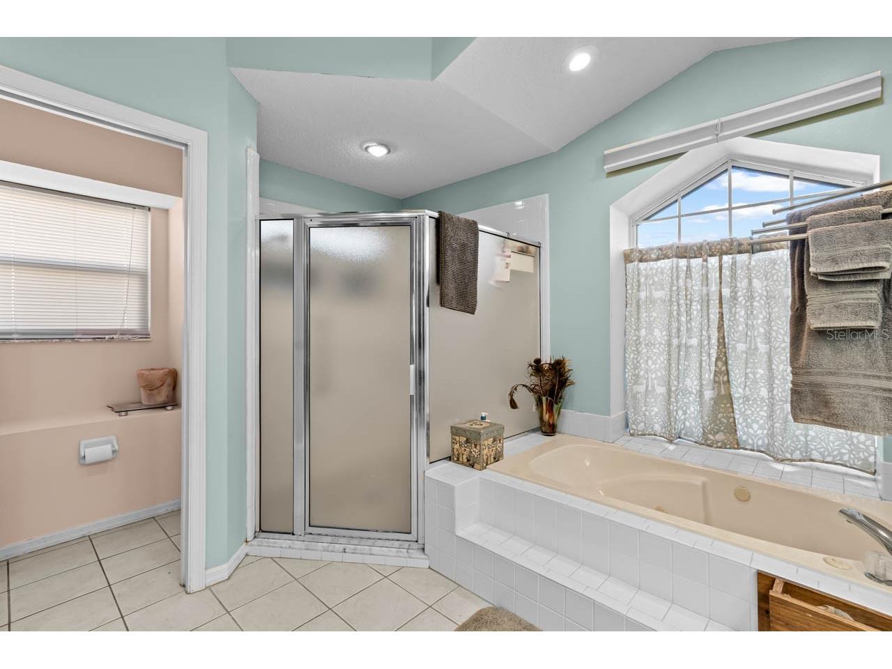 2021 Berry Roberts Drive Sun City Center FL 33573 TB8480170 image26