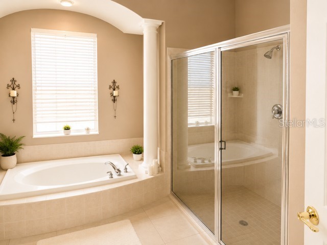 2021 Blue Beech Court Trinity FL 34655 TB8513995 image6