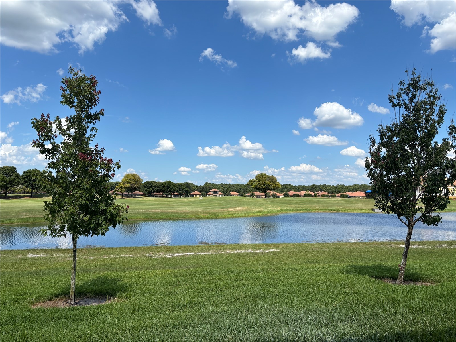2021 Greenbriar Terrace Davenport FL 33837 TB8522558 image14