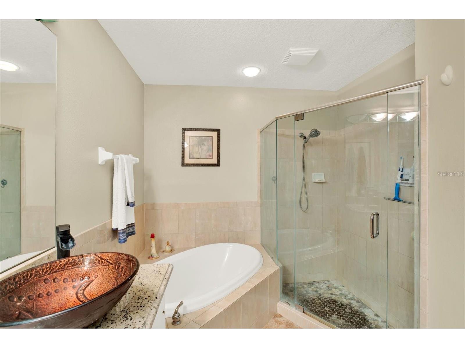 2021 Meadow Rue Court Trinity FL 34655 TB8494285 image16