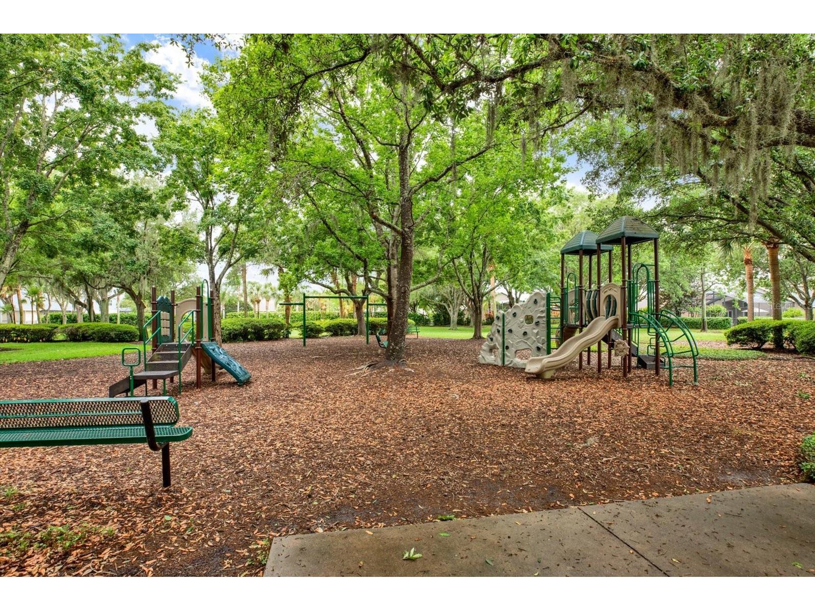 2021 Meadow Rue Court Trinity FL 34655 TB8494285 image40