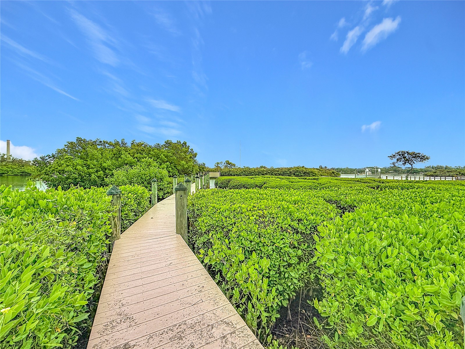 2021 North Pointe Alexis Drive Tarpon Springs FL 34689 - ANCLOTE RIVER W7885799 image7