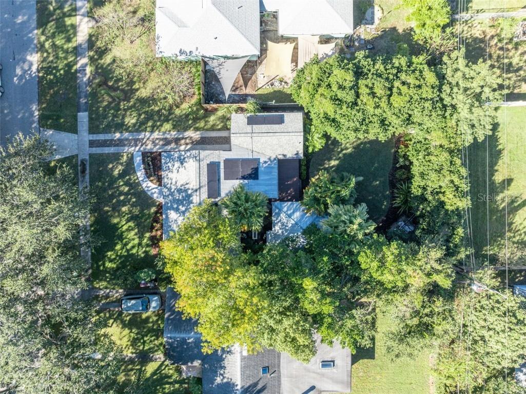 2021 Palmer Street Orlando FL 32803 O6359993 image41