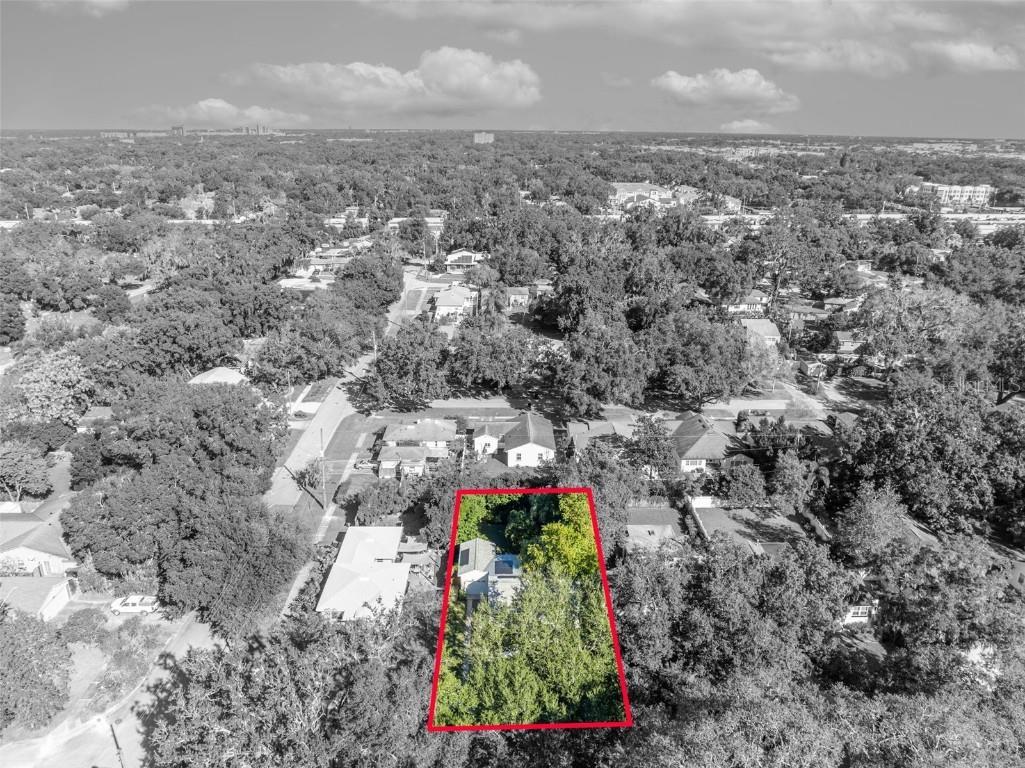 2021 Palmer Street Orlando FL 32803 O6359993 image48