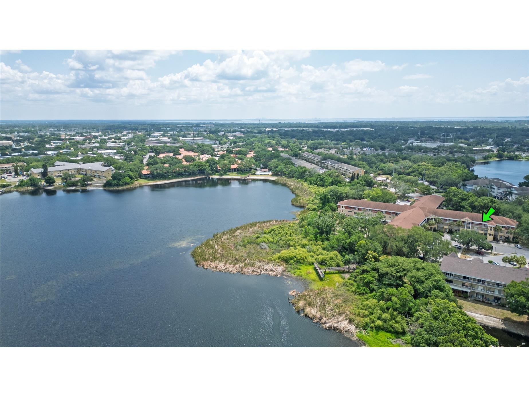 2021 Shangrila Drive #56 Clearwater FL 33763 TB8503065 image23