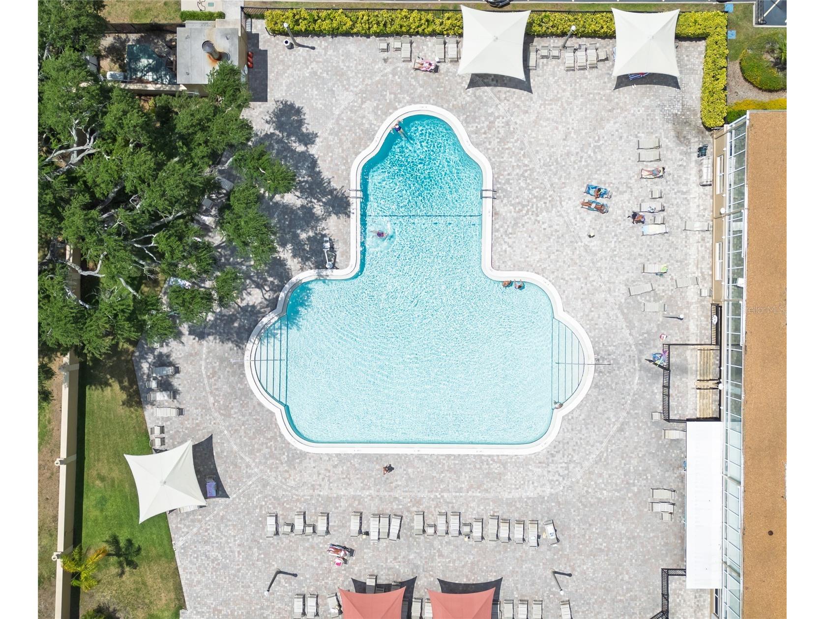 2021 Shangrila Drive #56 Clearwater FL 33763 TB8503065 image3
