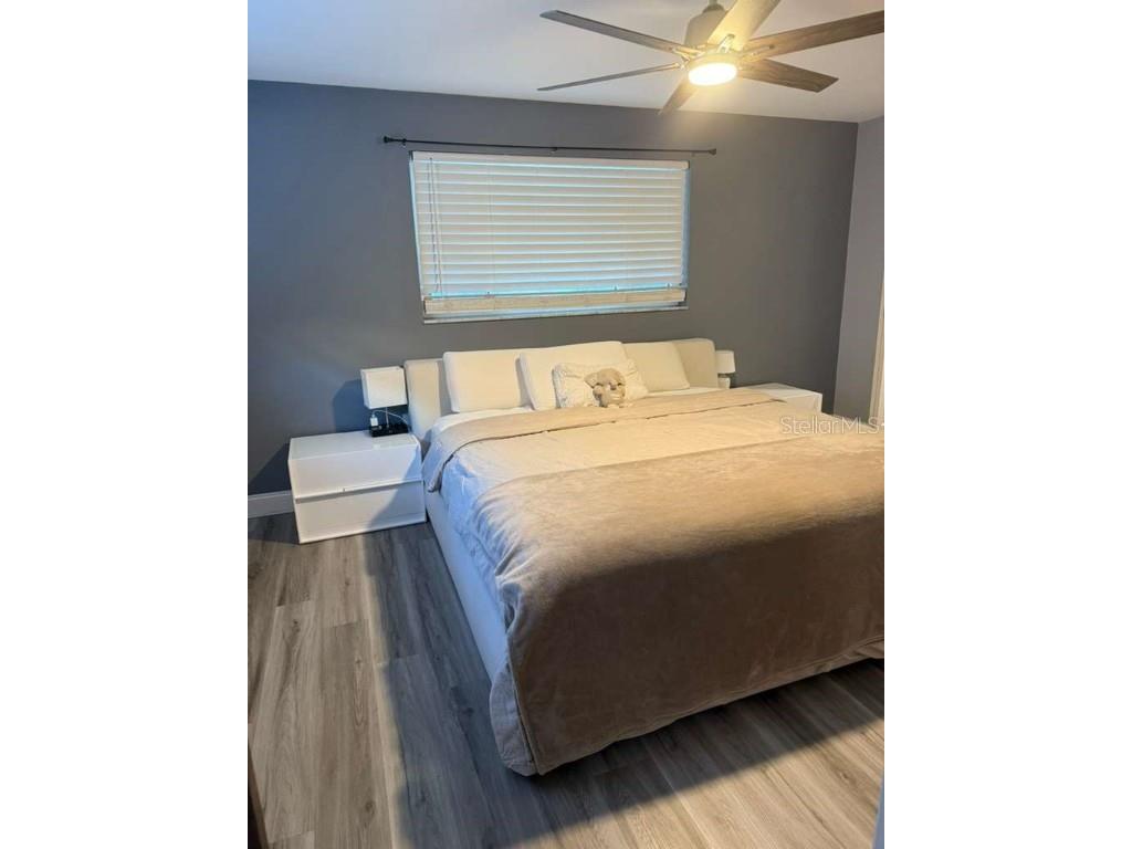 2021 Valley Drive Dunedin FL 34698 TB8418223 image32