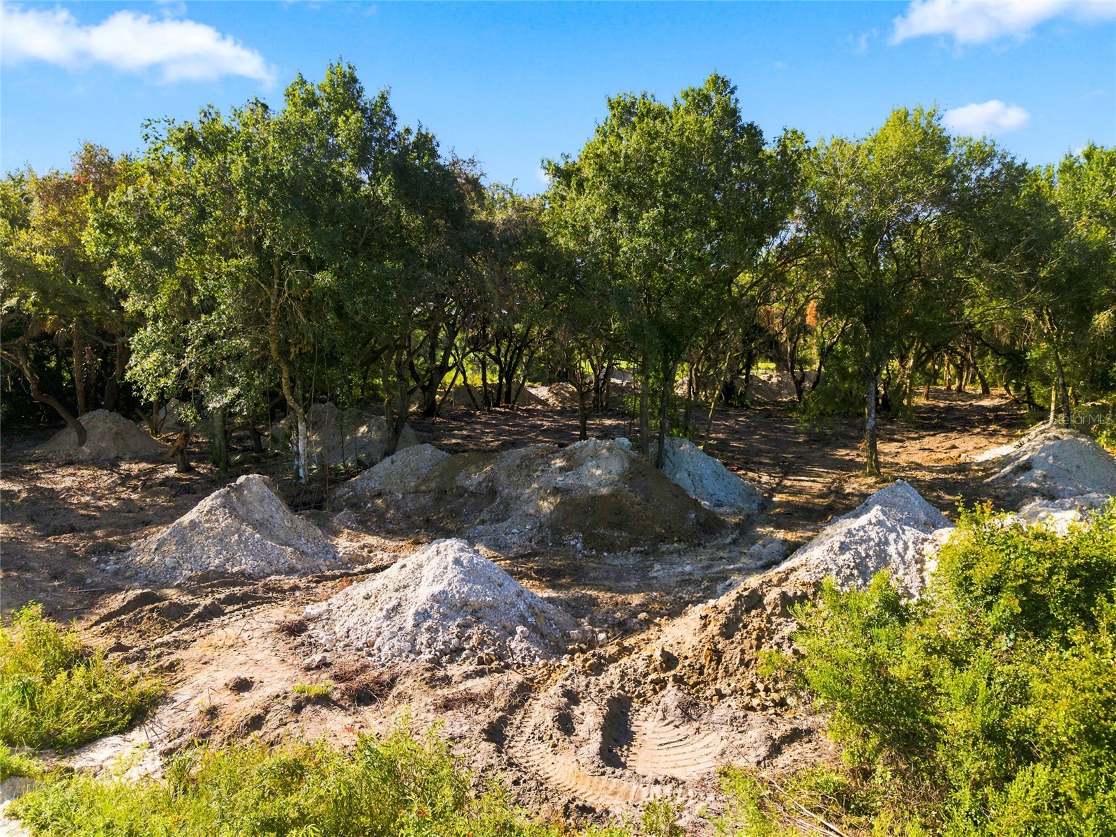 20212 NW 288th Street Okeechobee FL 34972 K4903665 image3