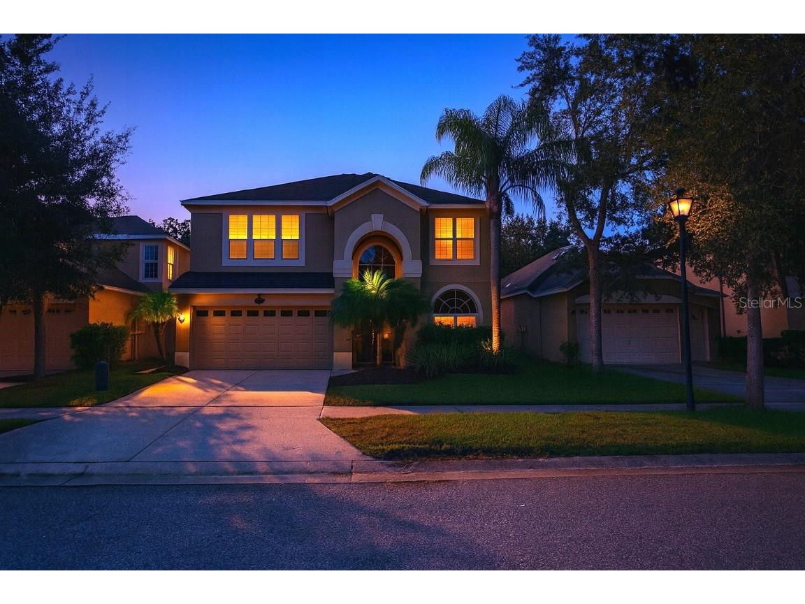 20213 Still Wind Drive Tampa FL 33647 V4944633 image1